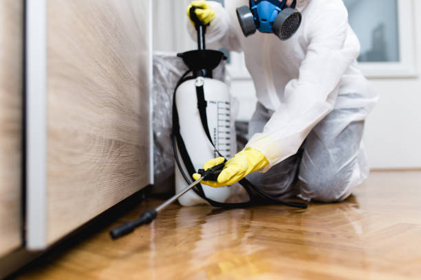 Best Local Pest Control Services  in Spearfish, SD