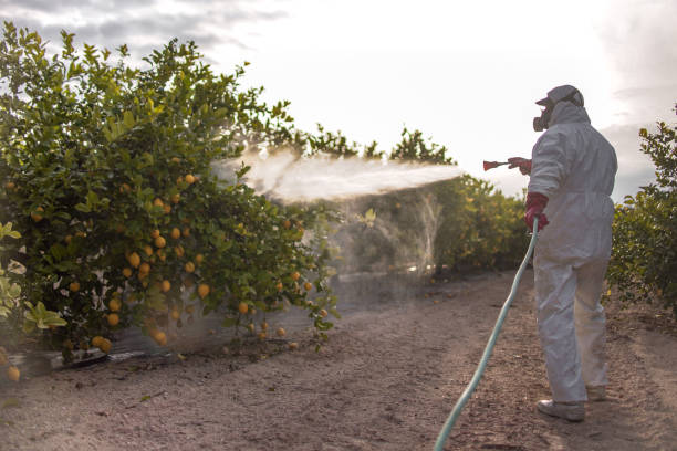 Best Mosquito Control Services  in Spearfish, SD