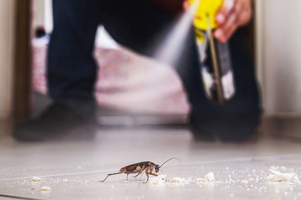 Best Exterminator Services  in Spearfish, SD