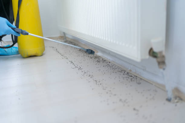 Best Best Pest Control Companies  in Spearfish, SD