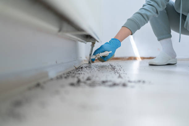 Best Pest Removal Services  in Spearfish, SD