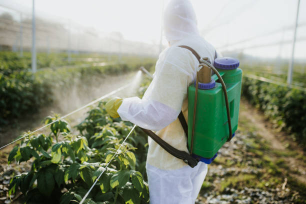 Best Flea Control Services  in Spearfish, SD